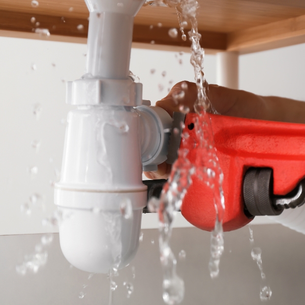 Renovation & Remodel Palm Coast